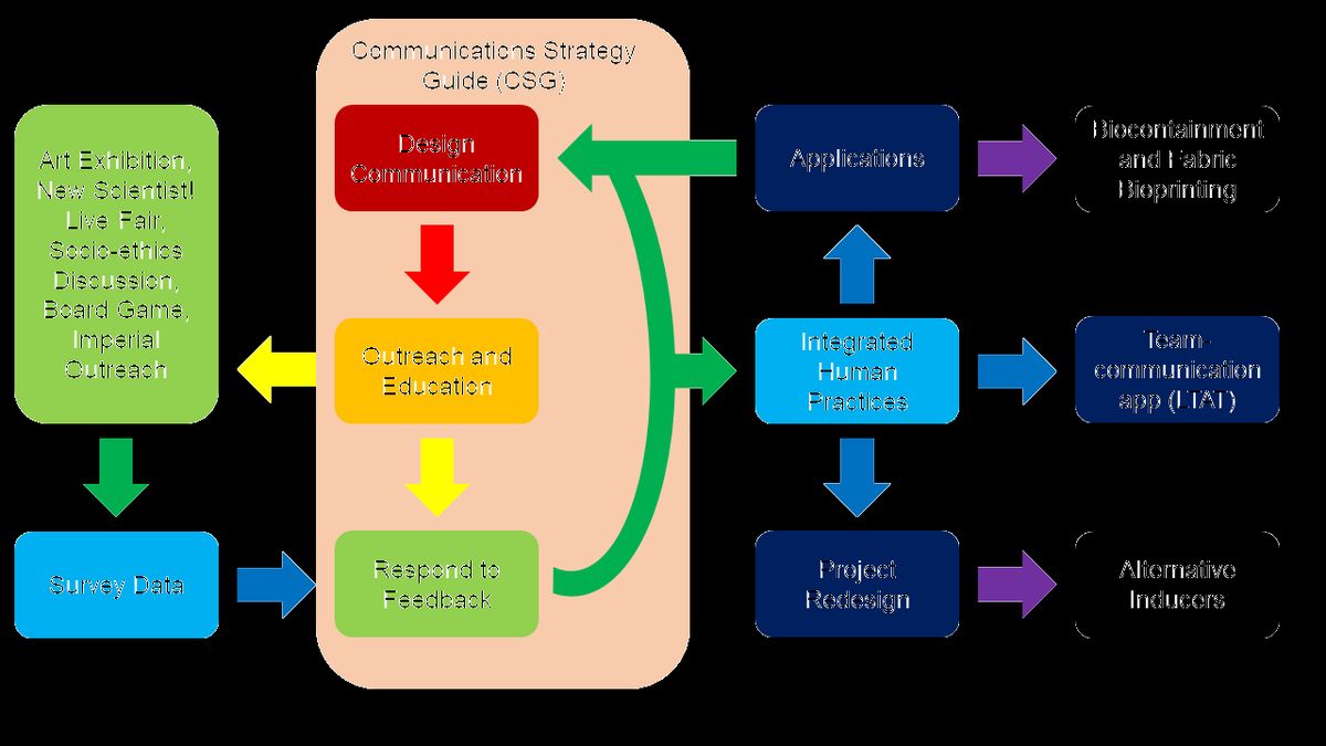 The Role of Artificial Intelligence in Entrepreneurial Innovation